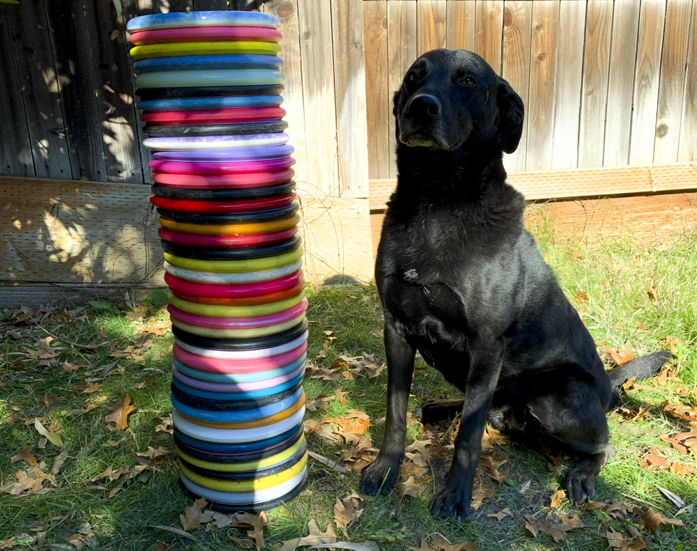A stack of putters being tested for a disc golf review on discgolfreport.com